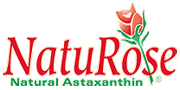 naturose logo