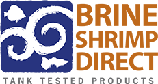 Brine Shrimp Direct