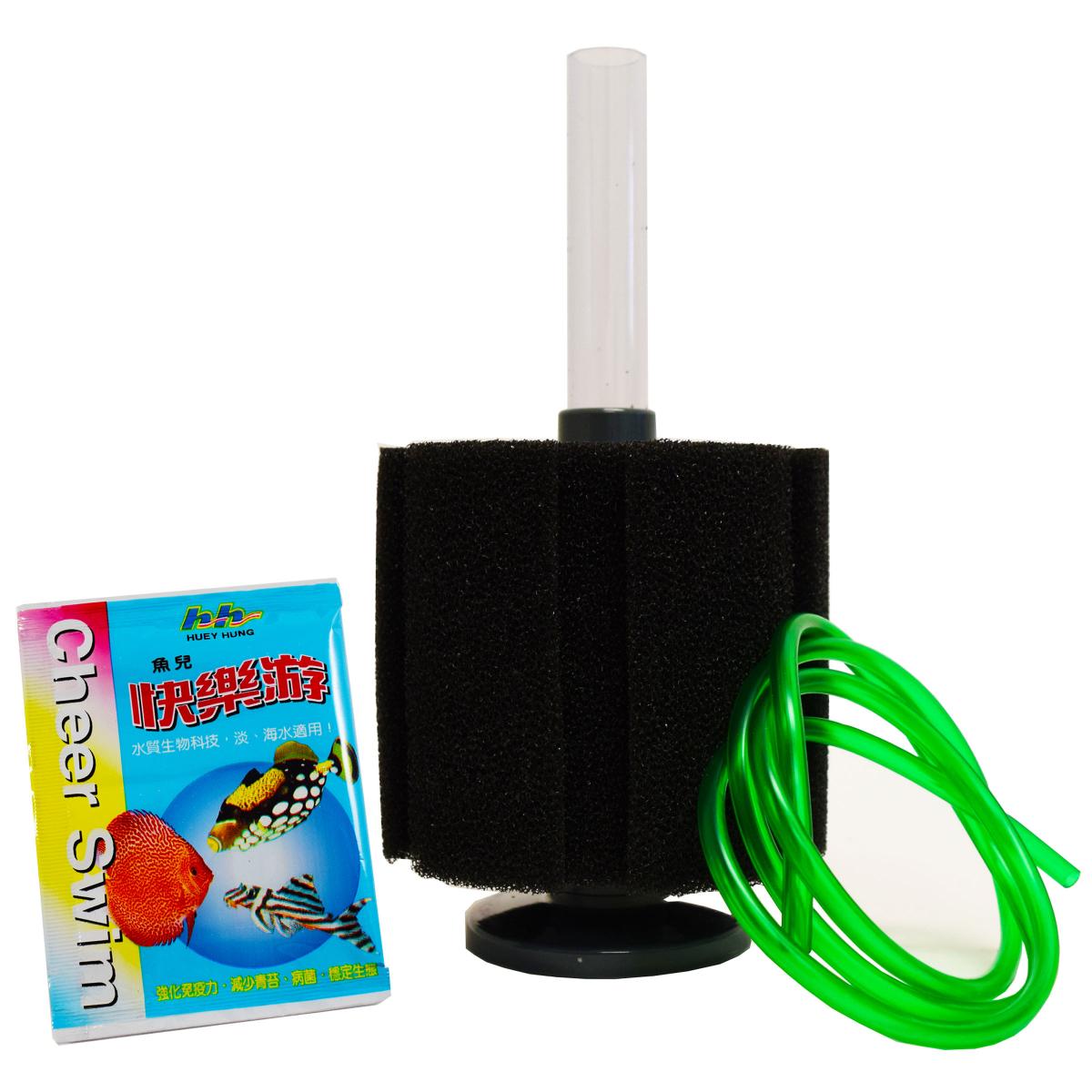healthy environment for your aquarium fish