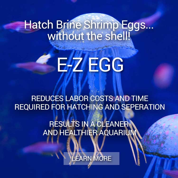 Premium Grade Brine Shrimp Eggs
