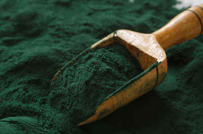 spirulina fish food - Superfood for fish