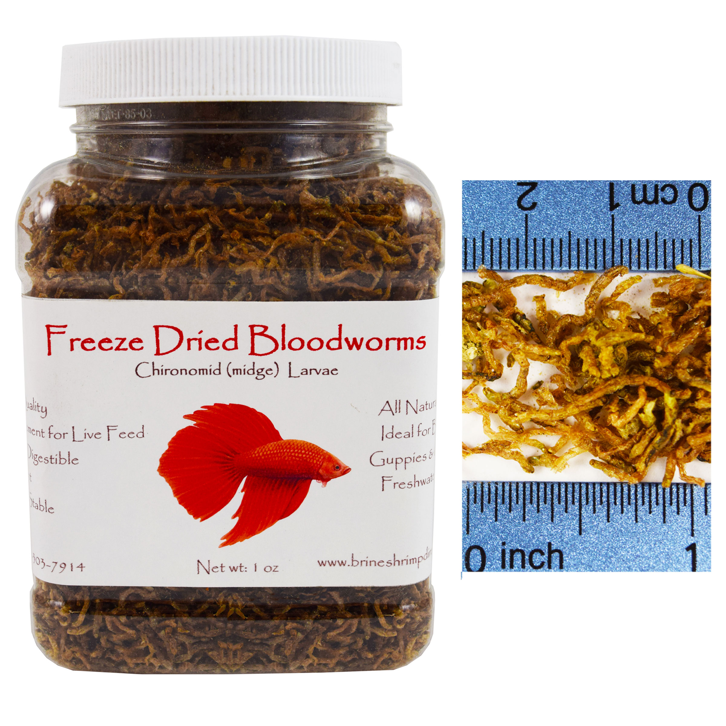 Feeding Dried Blood Worms Step-by-Step
