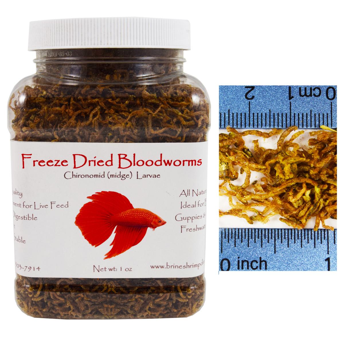 Freeze Dried Bloodworms, 1 oz.