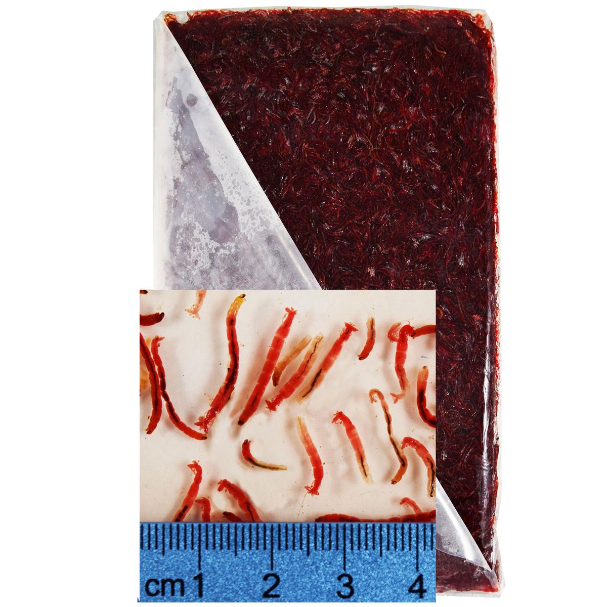 Frozen Bloodworm Flat Packs, 10 x 500 gm. (1.1 lb.) flat packs