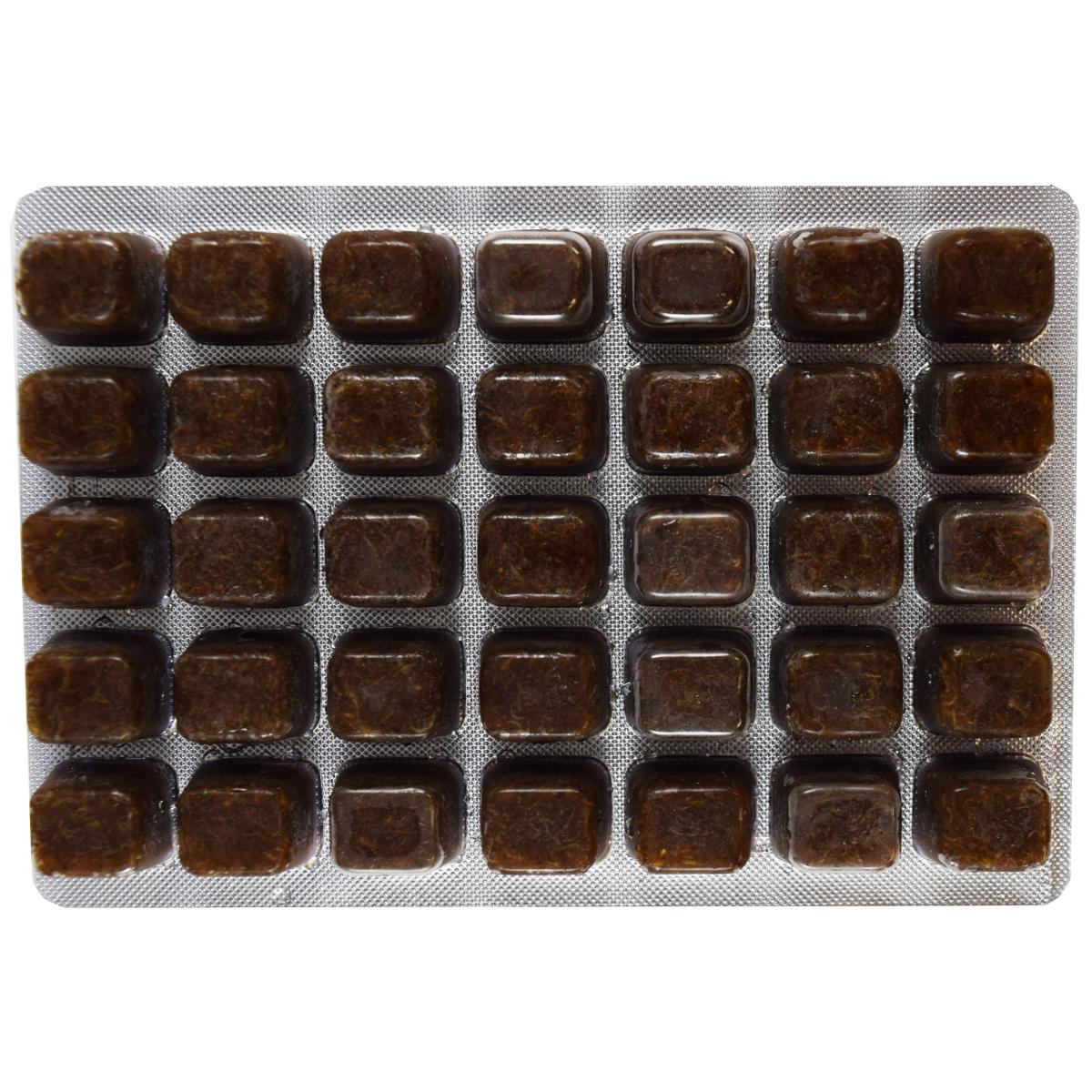 Frozen Brine Shrimp 3.5 oz Cube Trays - Box of 7 trays (1.54 lbs)