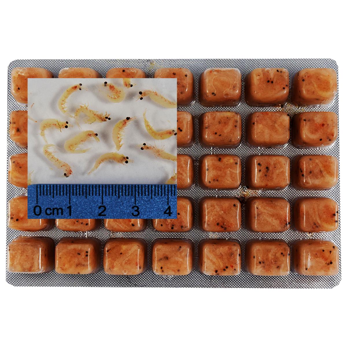 Frozen Brine Shrimp 3.5 oz Cube Trays - Box of 7 trays (1.54 lbs)