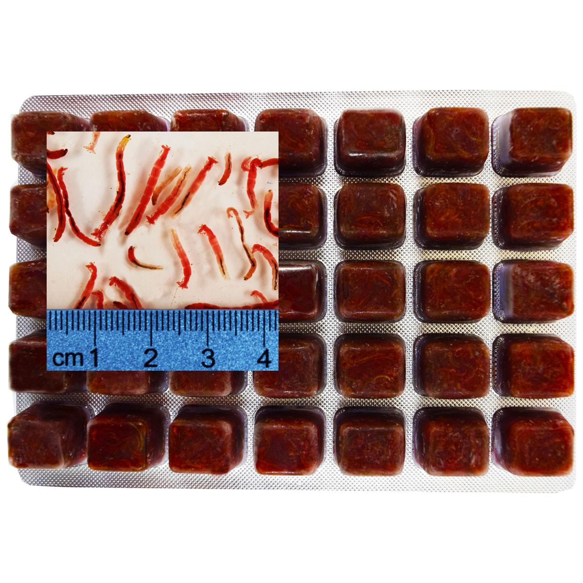 Frozen Bloodworm cube trays, 7 x 3.5 oz. cube trays, 1 box