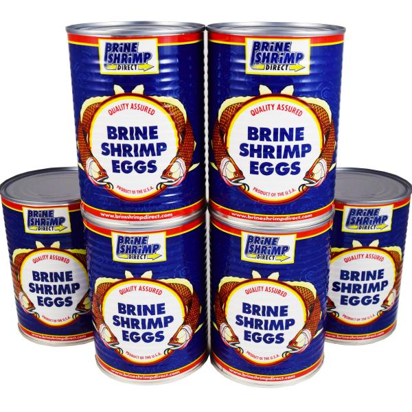 Premium Grade Brine Shrimp Eggs